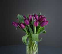 Purple tulips