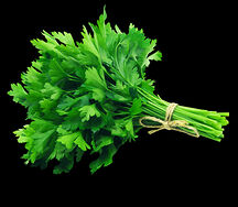 Մաղադանոս