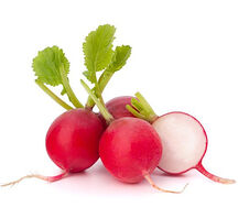Բողկ կարմիր