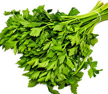 Նեխուր