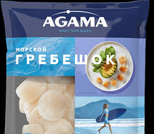 Ծովախեցի Agama