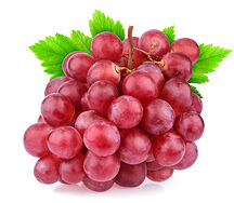 Մխիթար խաղող