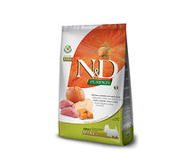 Pumpkin Boar & Apple Adult Mini 21.03.027