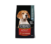 Cibau Adult Medium 21.08.042