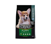 Cibau Puppy Medium 21.08.037