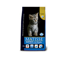Matisse Kitten 22.05.009