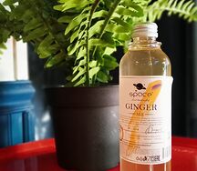 Space - Ginger