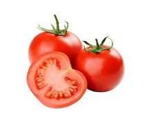 Помидор