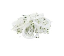 Лук с зеленью