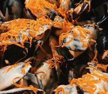 Мидии в сырном соусе Чеддер