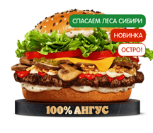 Острый Ангус Сибирский