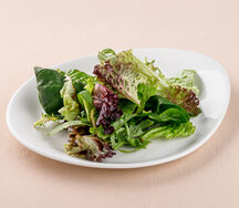 Микс листьев салата