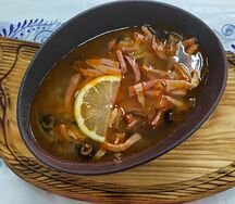 Солянка классическая