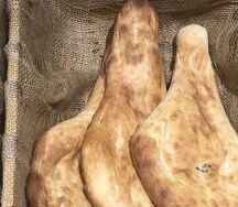 Шоти грузинский из тандыра