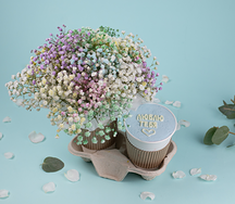 Подарочный набор букет Облако гипсофил и десерт