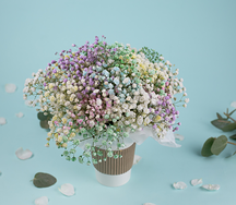 Букет цветов Облако гипсофил в стаканчике