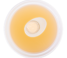 Бульон куриный с яйцом