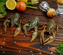 Раки волжские L