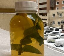 Зеленый чай с мятой и лимоном