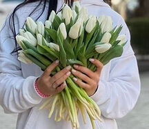Կակաչ Ձյունիկ