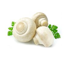 Шампиньоны