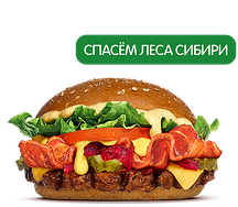 Сибирский Кинг за 1 рубль