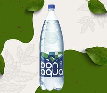 Bon Aqua газированная