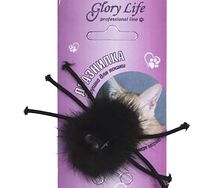 Glory life սև սարդիկ