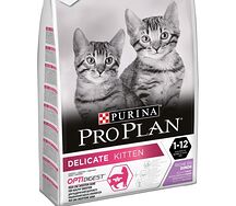 Pro Plan Delicate Kitten հնդկահավով կատվի կեր ձագերի համար