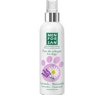 Menforsan Perfume երիցուկի և նարդոսի բույրով