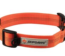 Skipdawg վզկալ նարնջագույն M