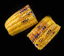 Кукуруза-гриль