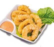 Кольца кальмара