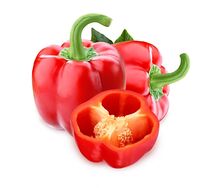 Перец болгарский