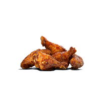vp1