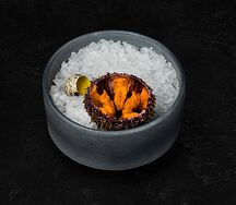 Морской еж 