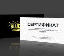 Сертификат 10 000 ₽