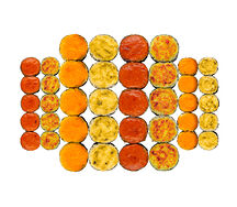 Сет Запеченный