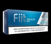 Fiit Regular Sky