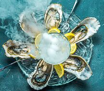 Дюжина устриц