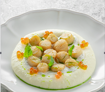 Морские гребешки