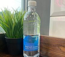 Вода Fizzberry без газа