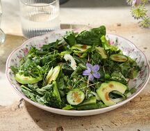 Зеленый салат с кунжутно-соевым соусом