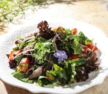 Теплый салат с говяжьей вырезкой