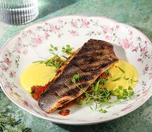 Филе сибаса с овощным рататуем