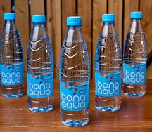 Вода Bonaaqua негазированная