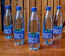 Вода Bonaaqua газированная