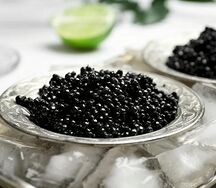 Икра палтуса чёрная