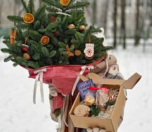 Букет из нобилиса живая ель и набор для глинтвейна с кружкой
