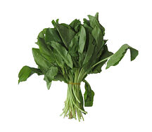 Շավիլ